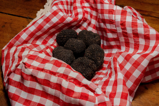 Truffe d'été (aestivum) - Périgord